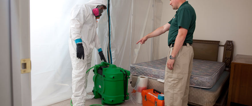 Thornton, CO mold removal process