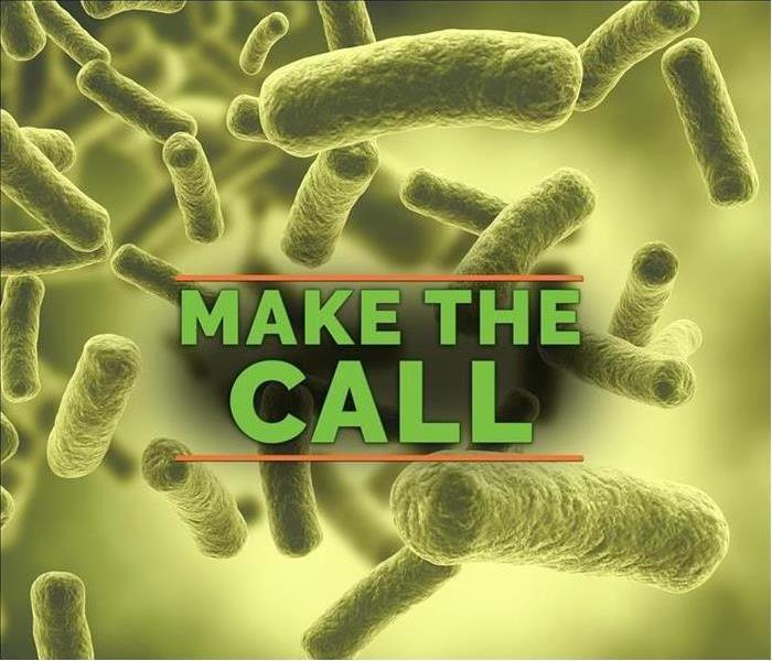 Close up of 3d microscopic bacteria - Text on image that says MAKE THE CALL