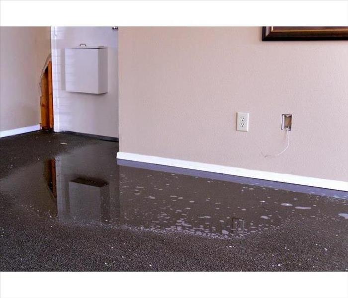 Standing water on carpet of a room